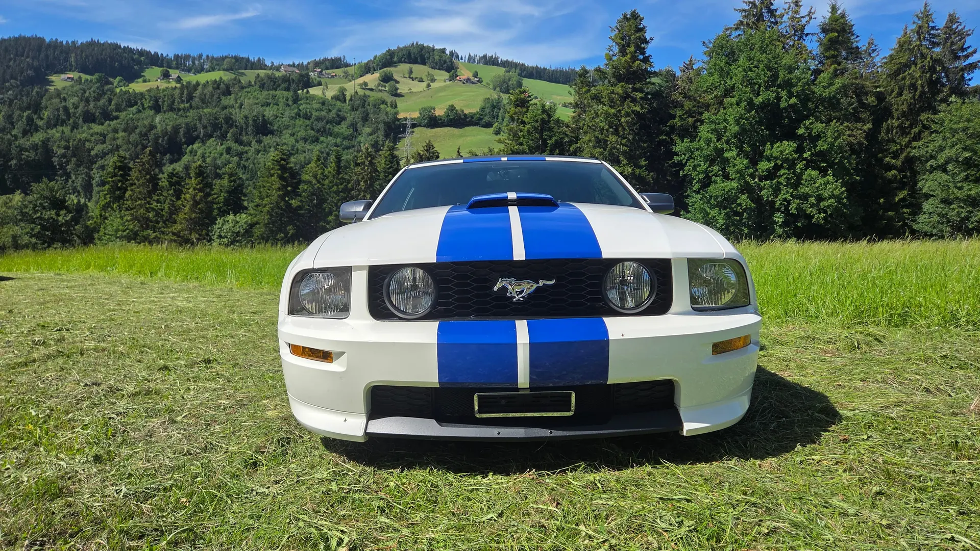 Ford Mustang 2007 occasion Niederwangen BE — 5