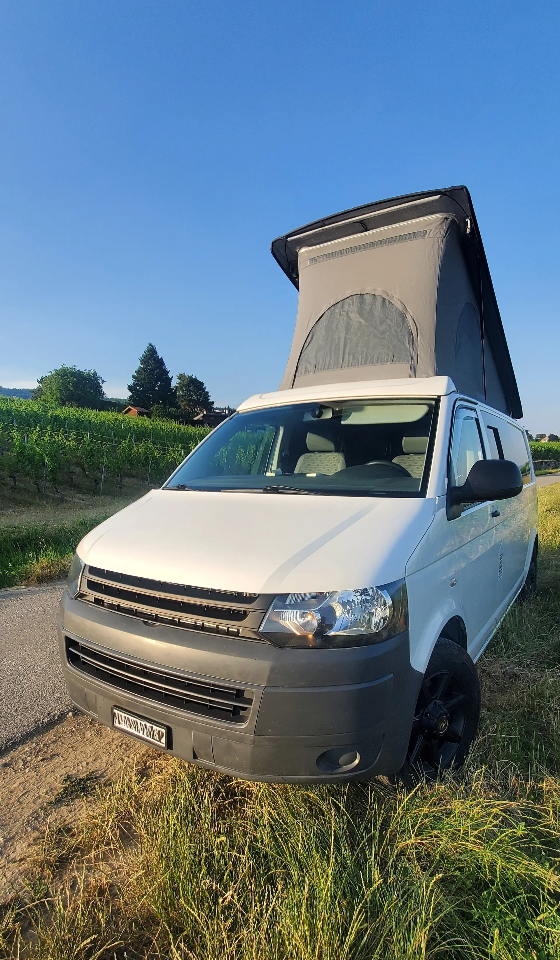 Volkswagen T5 2013 occasion Auvernier — 3