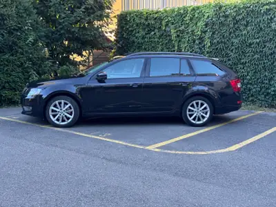 Skoda Octavia 1.8 TSI Swiss Joy — Monospace fiable, 155000 km, sans accident — côté