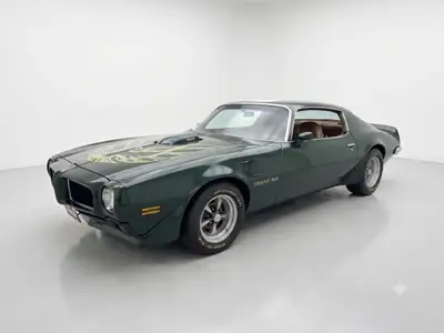 Pontiac Firebird Trans Am 455 — Légende américaine 1973, moteur V8 mythique — côté