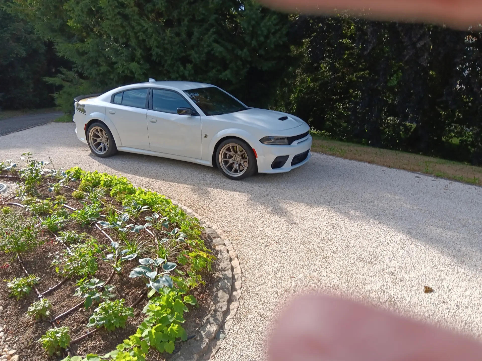 Dodge Charger 2024 occasion Rümlingen — 2