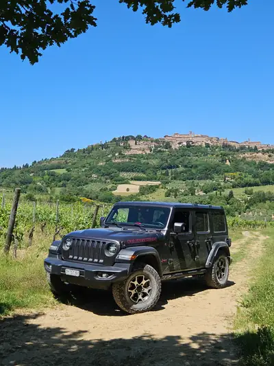 Jeep Wrangler 2.0 Turbo Rubicon Unlimited — SUV 4x4 robuste, 75'000 km seulement — vista posteriore