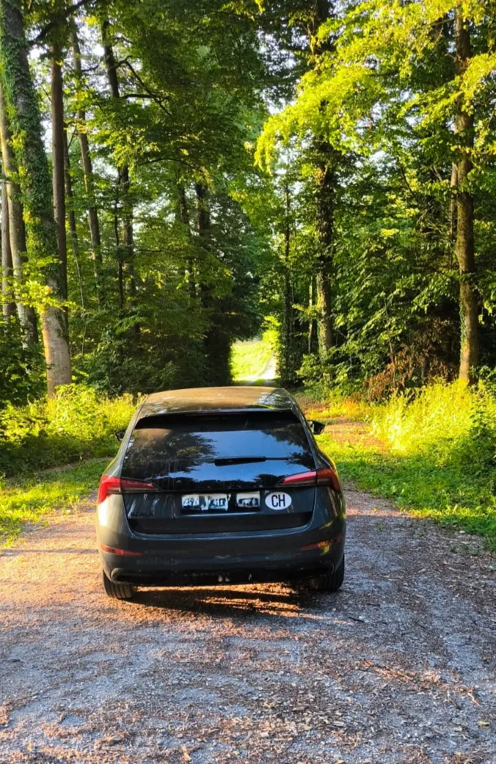 Skoda Scala 2020 occasion Bösingen — 2