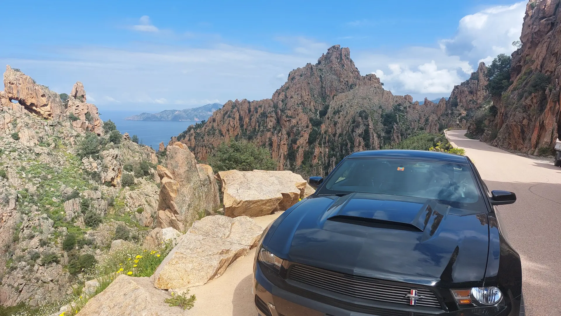 Ford Mustang 3.7 V6 — Coupé légendaire, boîte manuelle, sans sinistre — vue extérieure