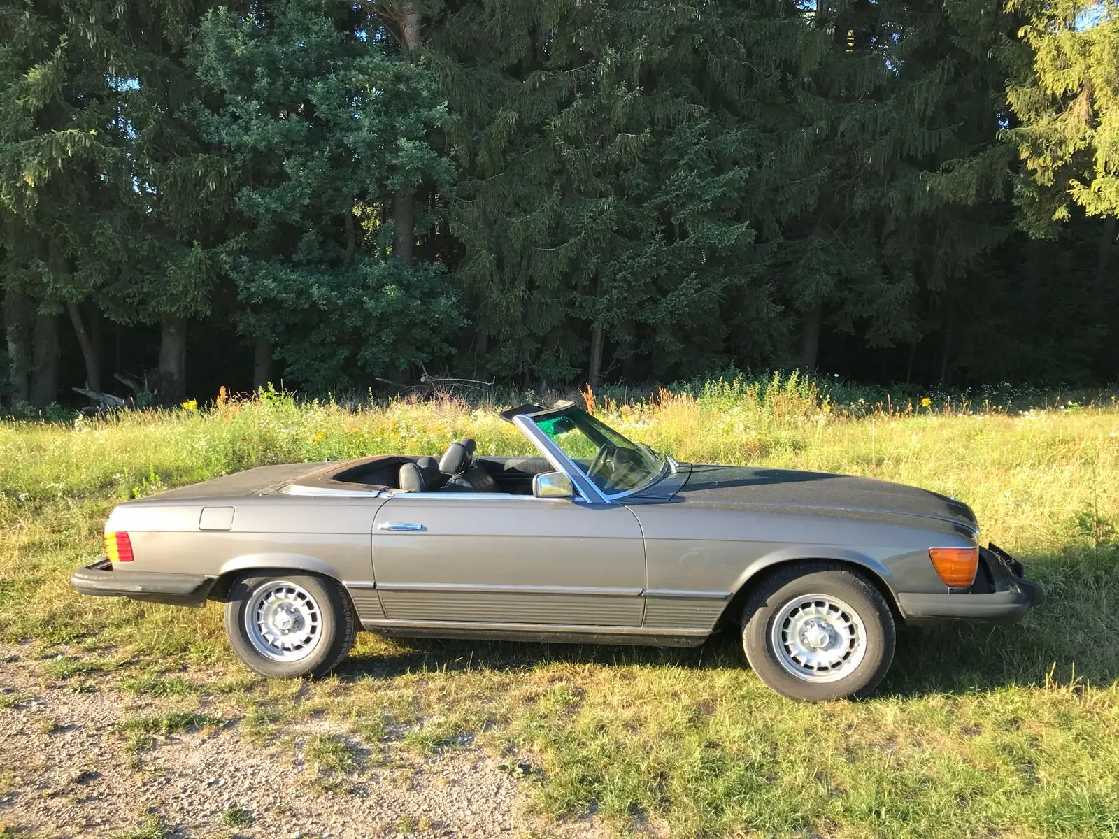 Mercedes-Benz 450 1979 occasion Hombrechtikon — 4