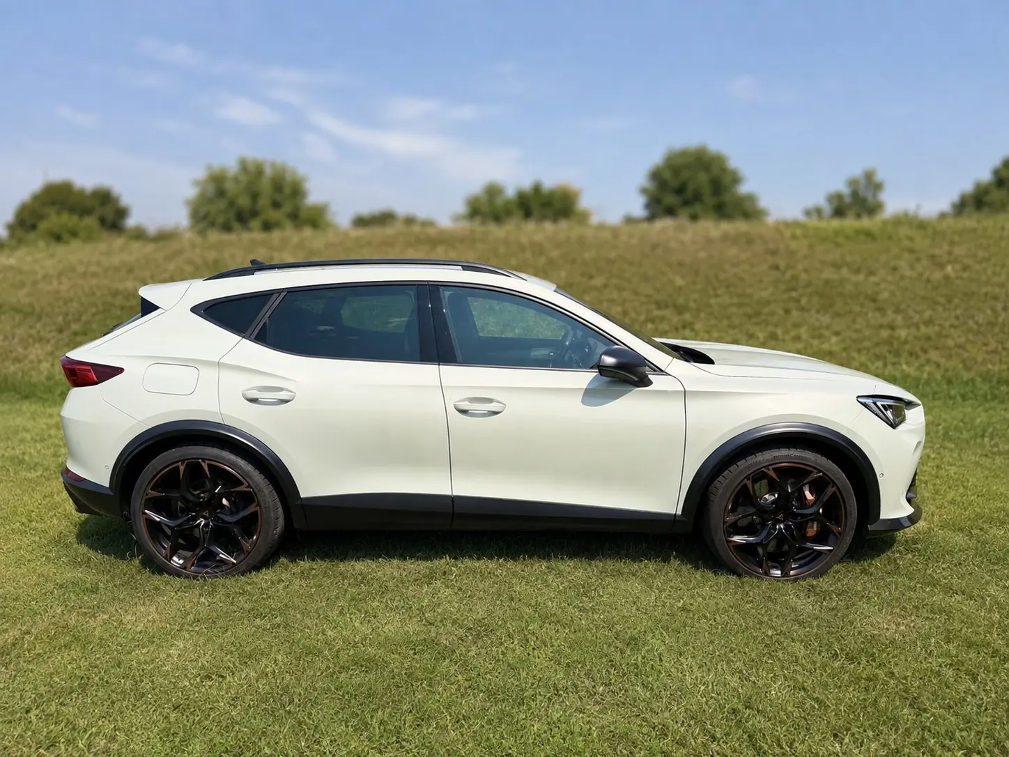 Cupra Formentor 2022 occasion Root — 2