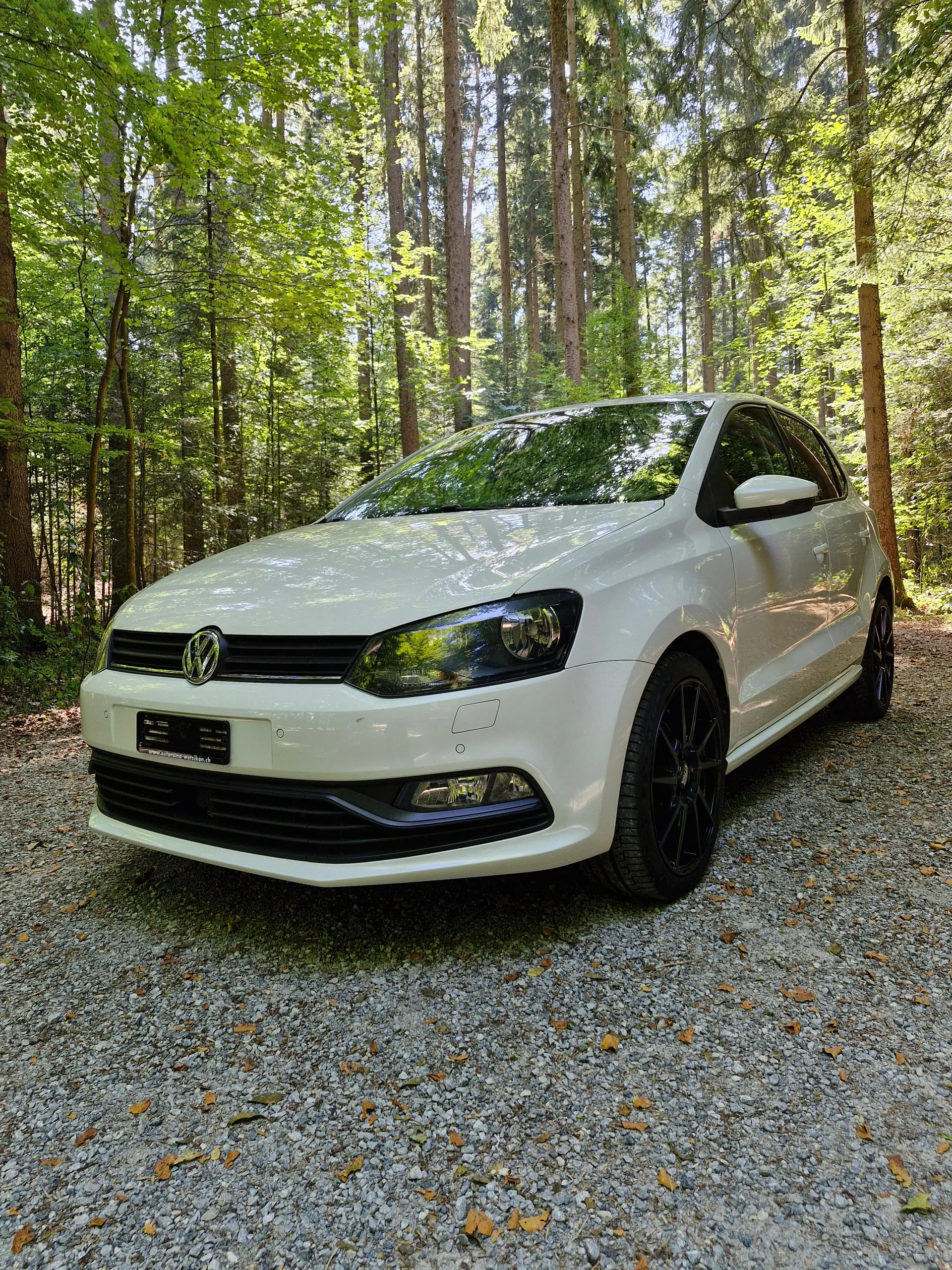 Volkswagen Polo 2014 occasion Egg — 1