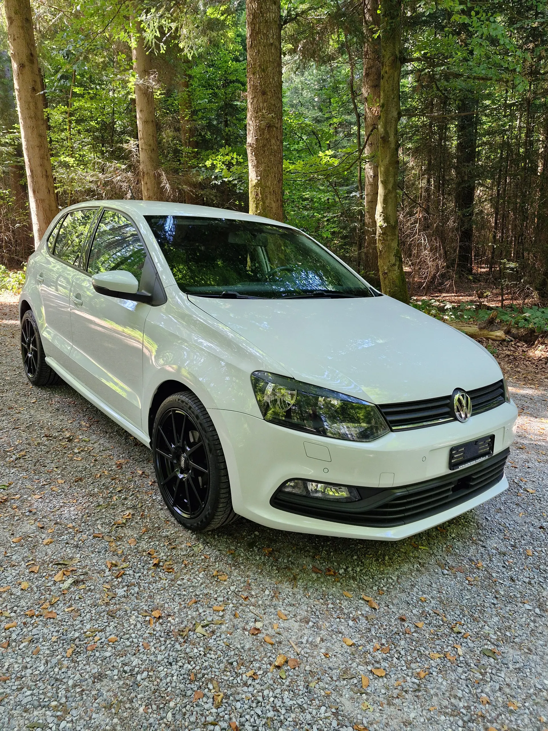 Volkswagen Polo 2014 occasion Egg — 2