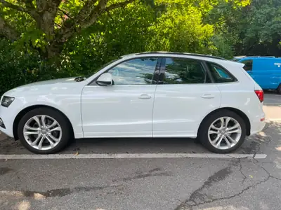Audi SQ5 3.0 TDI Quattro — SUV premium diesel, 313 ch, peu kilométré — Detail