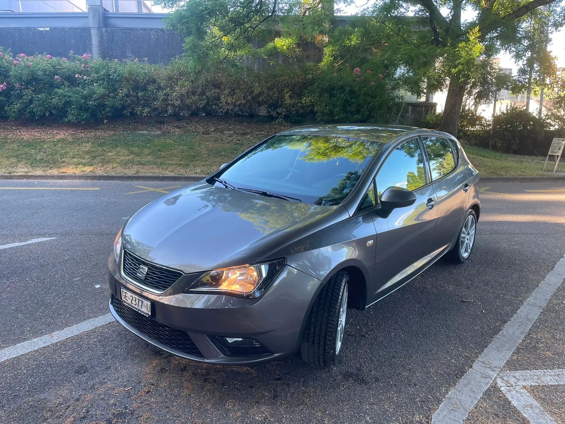 SEAT Ibiza 2014 occasion Meyrin — 2
