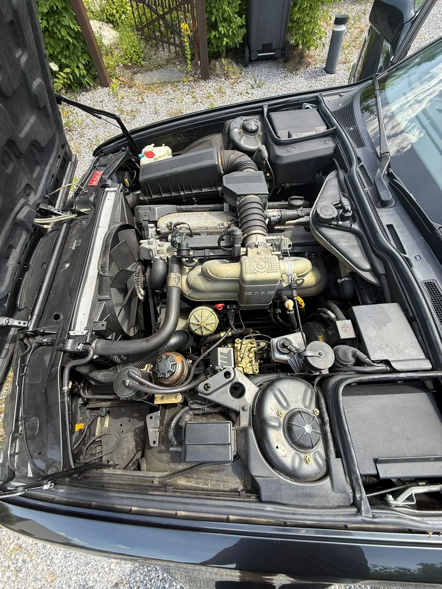 BMW 735 1988 occasion Herrliberg — 5