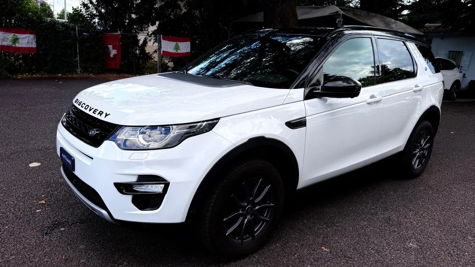 Land Rover Discovery Sport 2015 occasion Vernier — 2