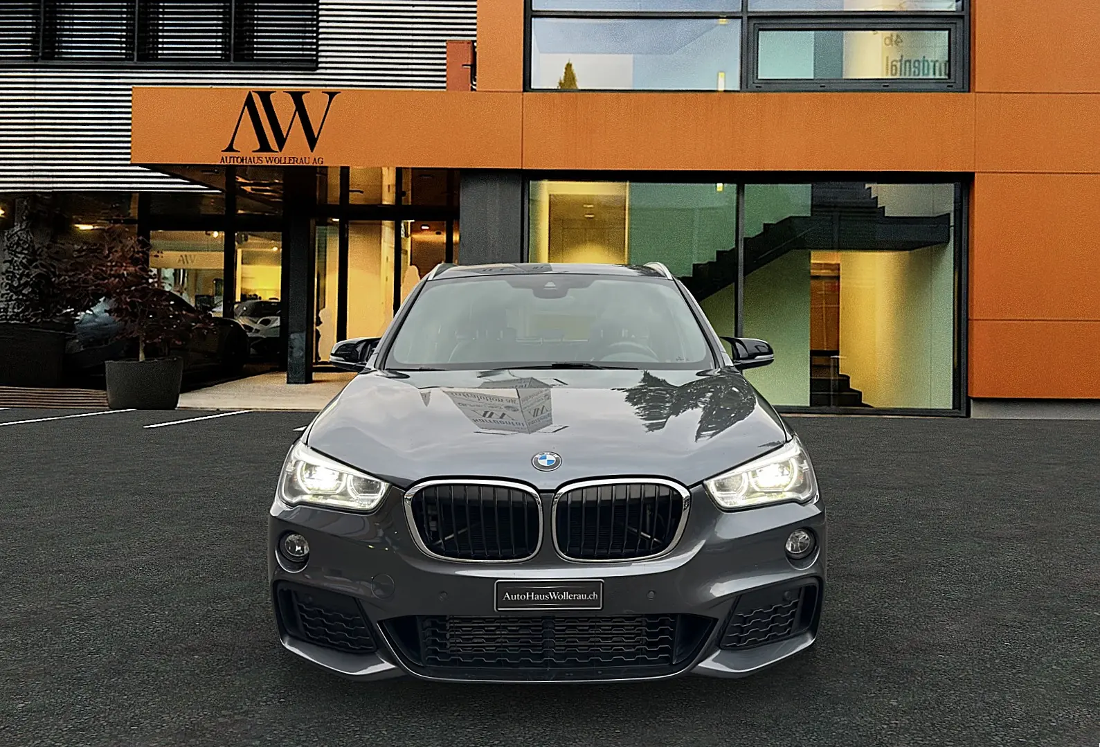 BMW X1 2017 occasion Wollerau — 2