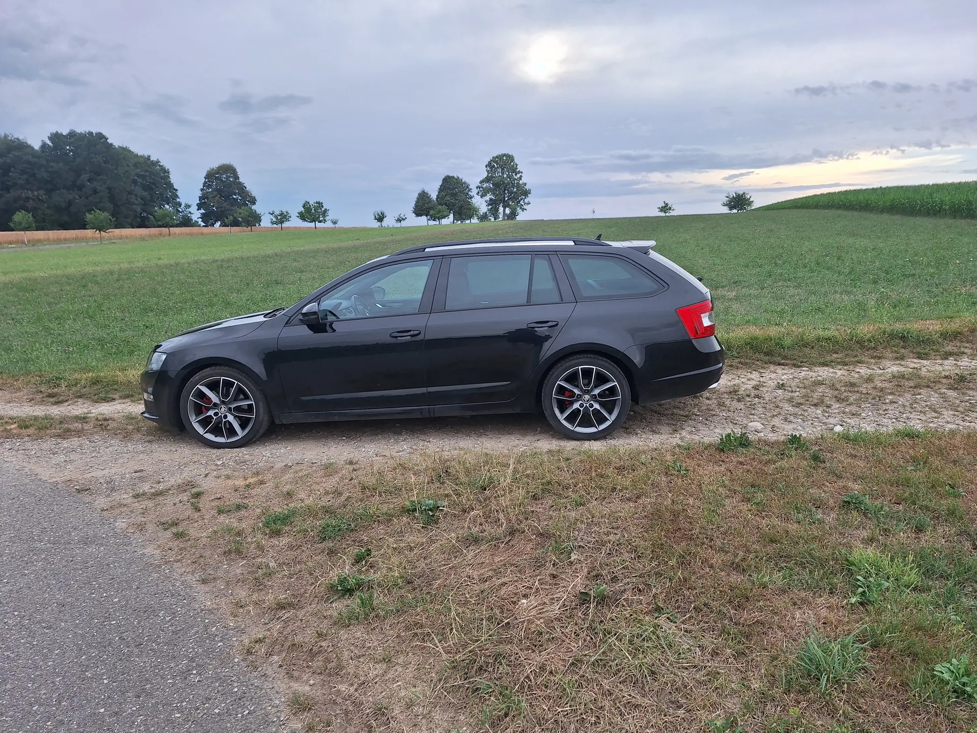Skoda Octavia 2016 occasion Ufhusen — 3