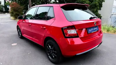 Skoda Fabia 1.2 TSI Monte Carlo DSG — Citadine sportive, entretien minimaliste — detail