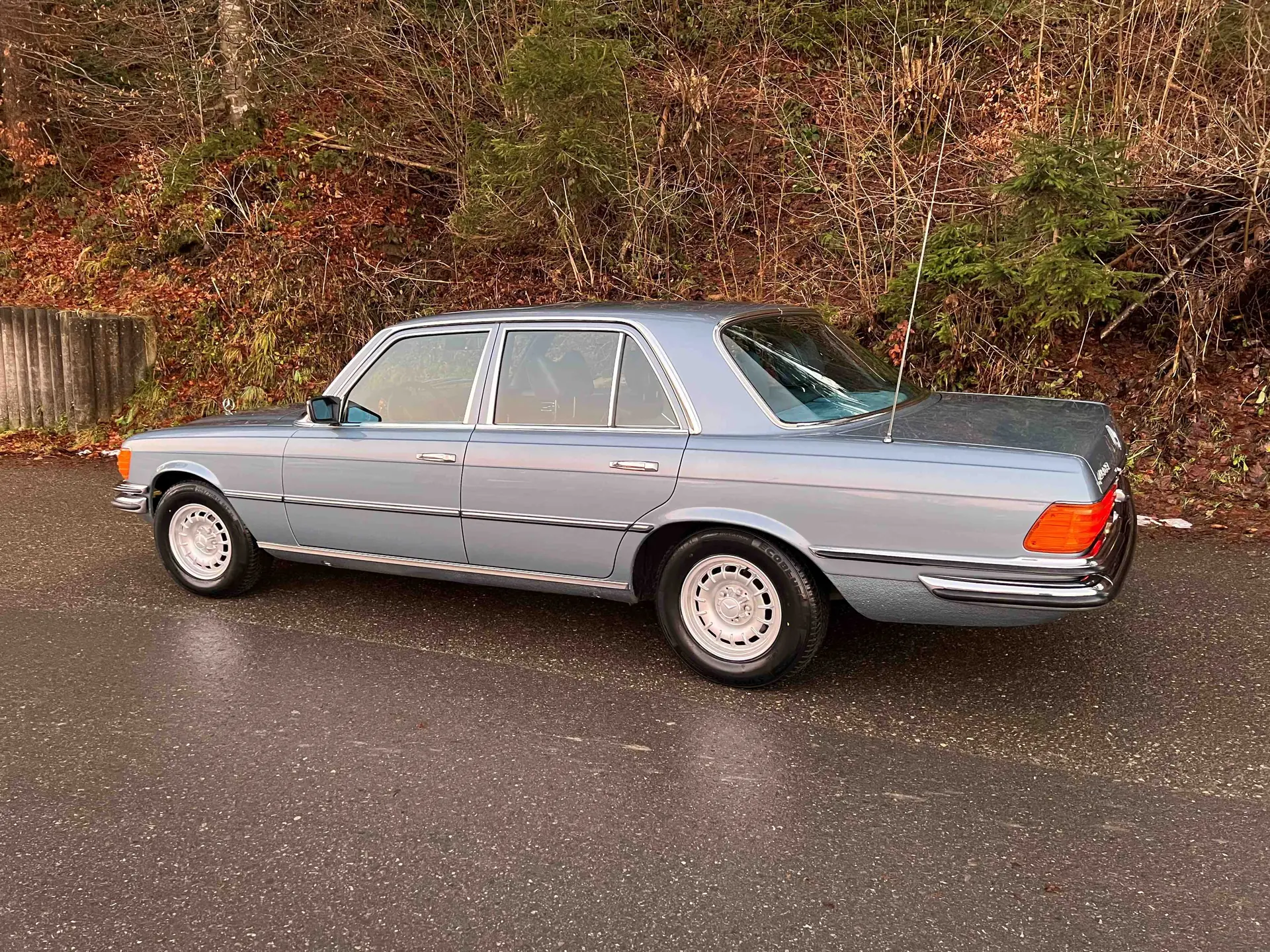 Mercedes-Benz 450 1979 occasion Horn — 2