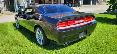 Dodge Challenger 6.1 HEMI SRT8 — Muscle car américain légendaire, 432 ch purs — Seitenansicht