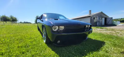 Dodge Challenger 6.1 HEMI SRT8 — Muscle car américain légendaire, 432 ch purs — Miniatur 10