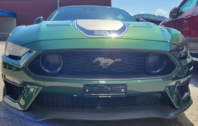 Ford Mustang 5.0 V8 Mach 1 — Muscle car légendaire, motorisation époustouflante — arrière