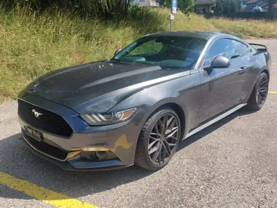 Ford Mustang 2.3 EcoBoost — Coupé sportif légendaire, moteur optimisé 317 ch — arrière