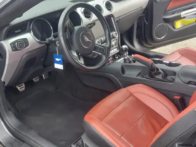 Ford Mustang 2.3 EcoBoost — Coupé sportif légendaire, moteur optimisé 317 ch — Miniature 9