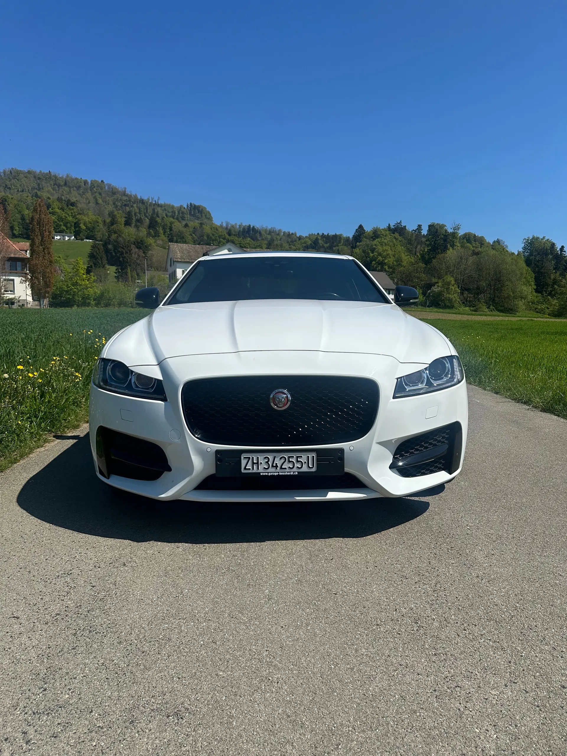 Jaguar XF 2018 occasion Dürnten — 2