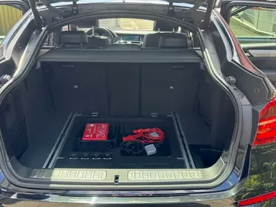 BMW X4 20d xDrive — SUV coupé diesel performant, sans sinistre — detail