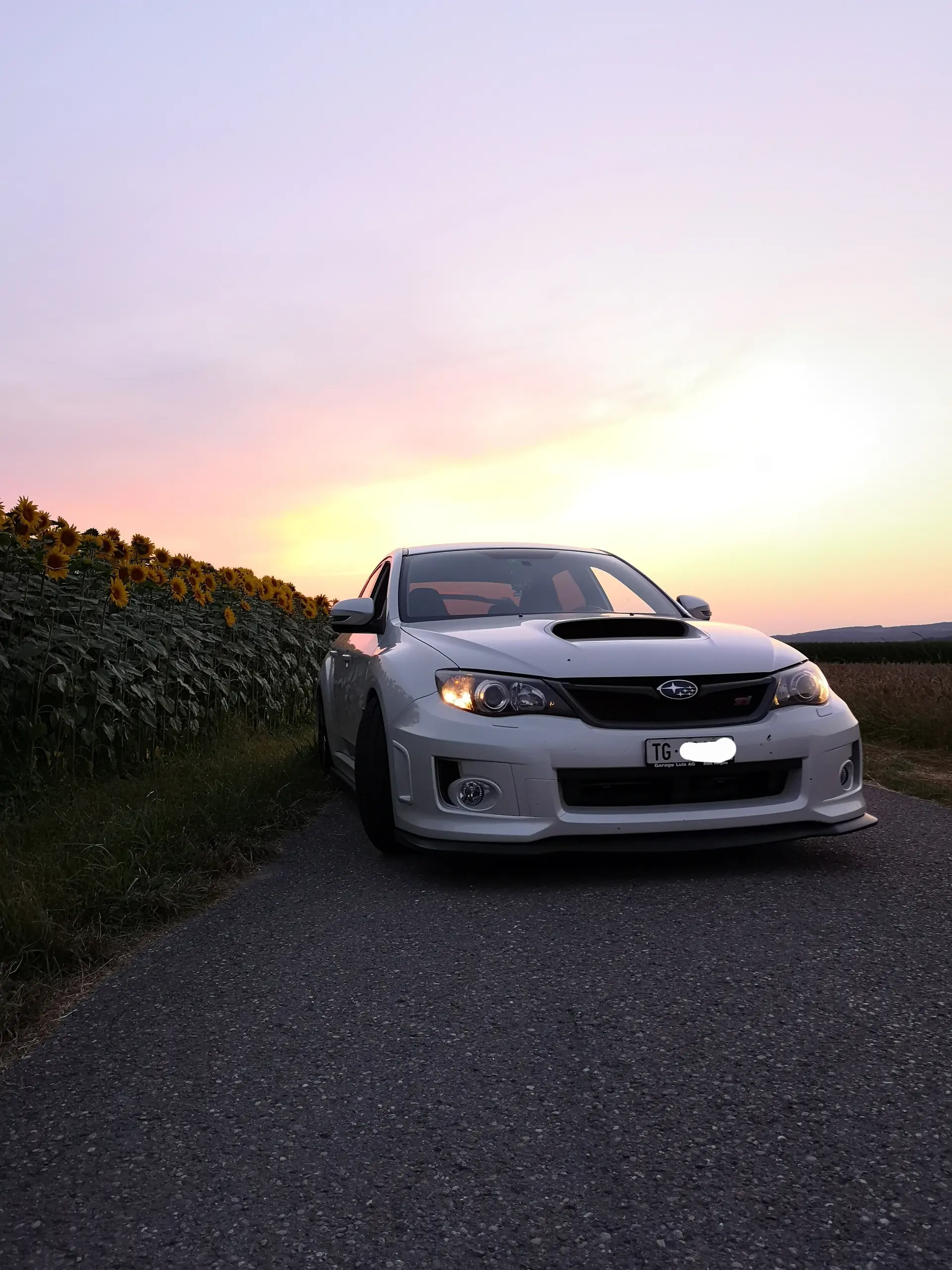 Subaru WRX occasion Wängi — 1