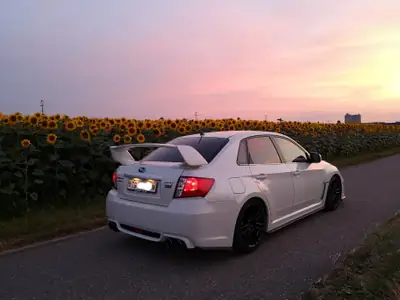 Subaru WRX STI 2011 — Berline sportive 301 ch, transmission intégrale, sans accident — side view