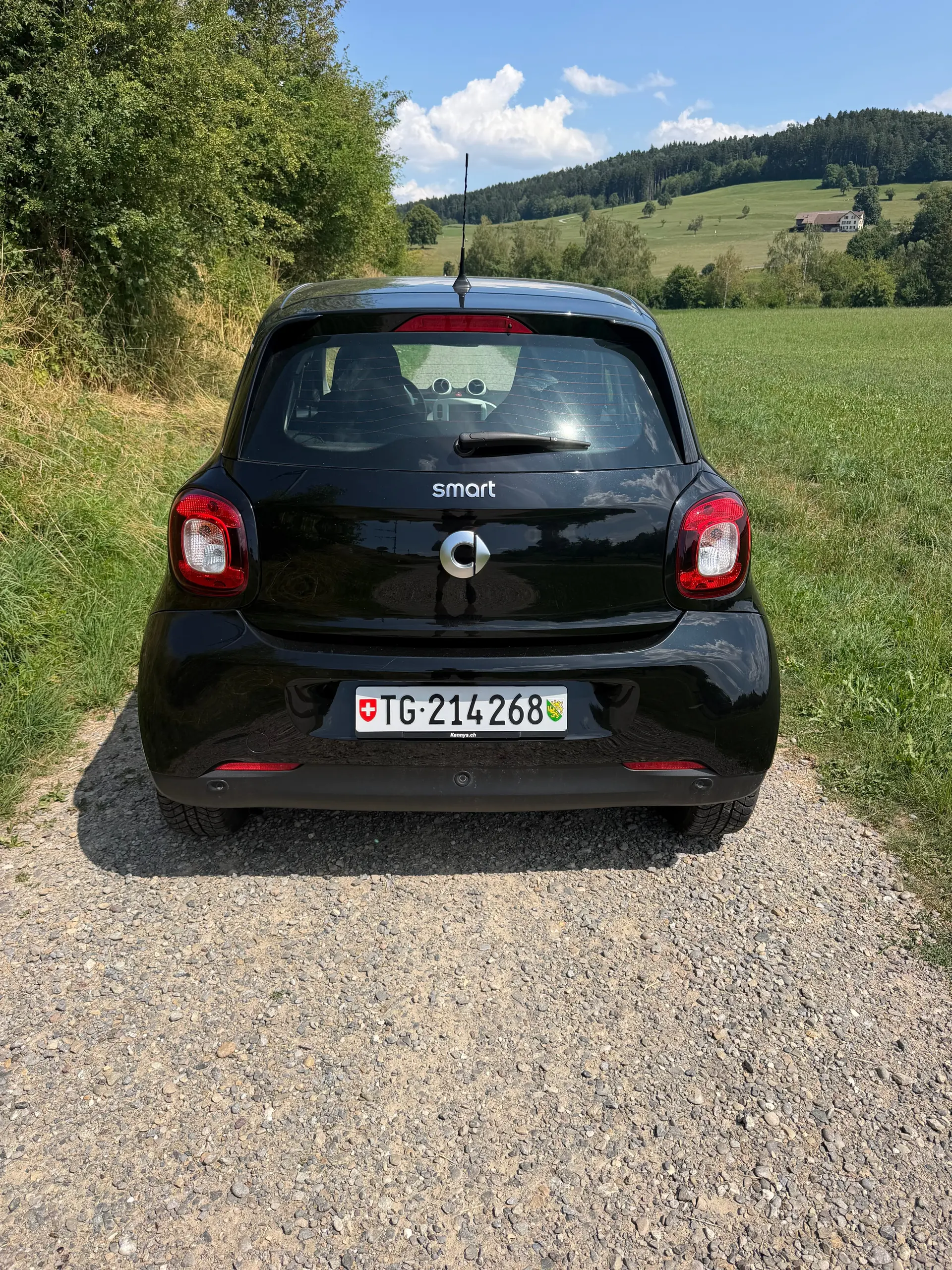 Smart Forfour 2015 occasion Matzingen — 4
