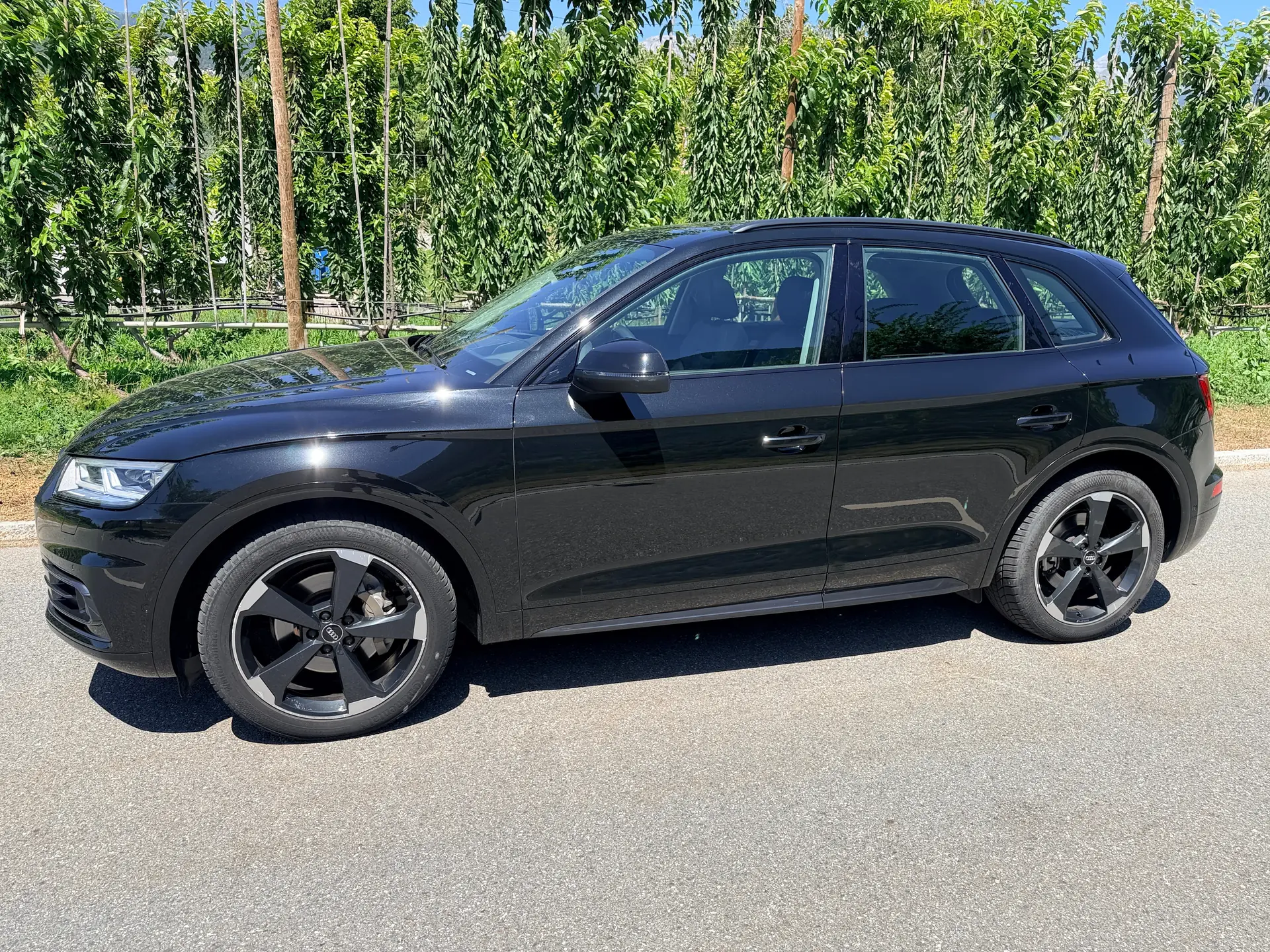 Audi Q5 2020 occasion St-Luc — 2