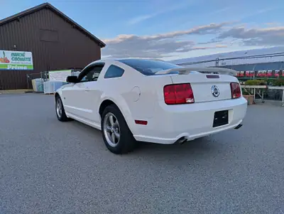 Ford Mustang GT 2005 — Coupé muscle américain authentique, 305 ch — Heckansicht