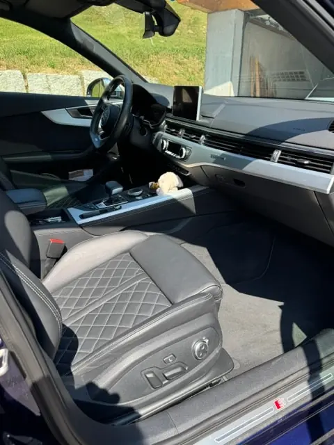 Audi S4 2018 occasion Seltisberg — 3