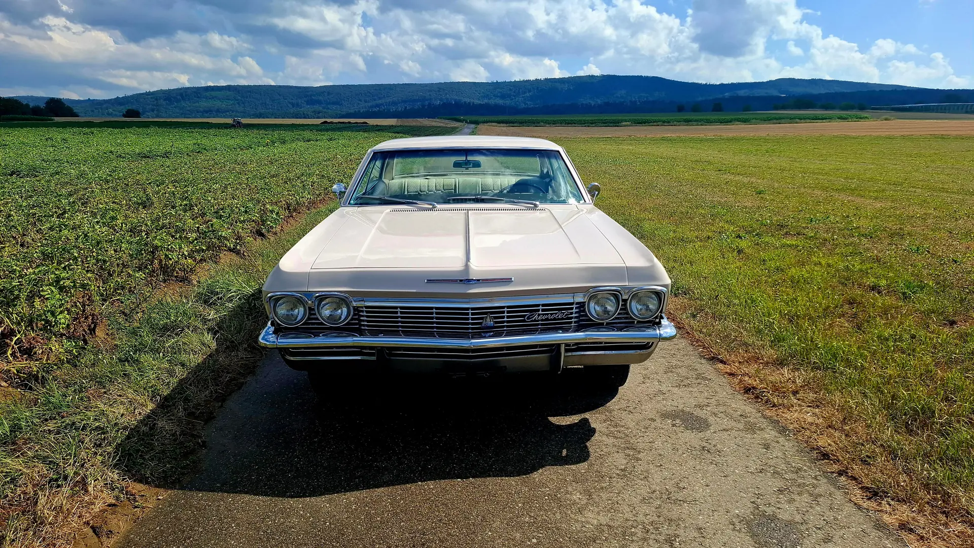 Chevrolet Impala 1965 occasion Münchenstein — 3