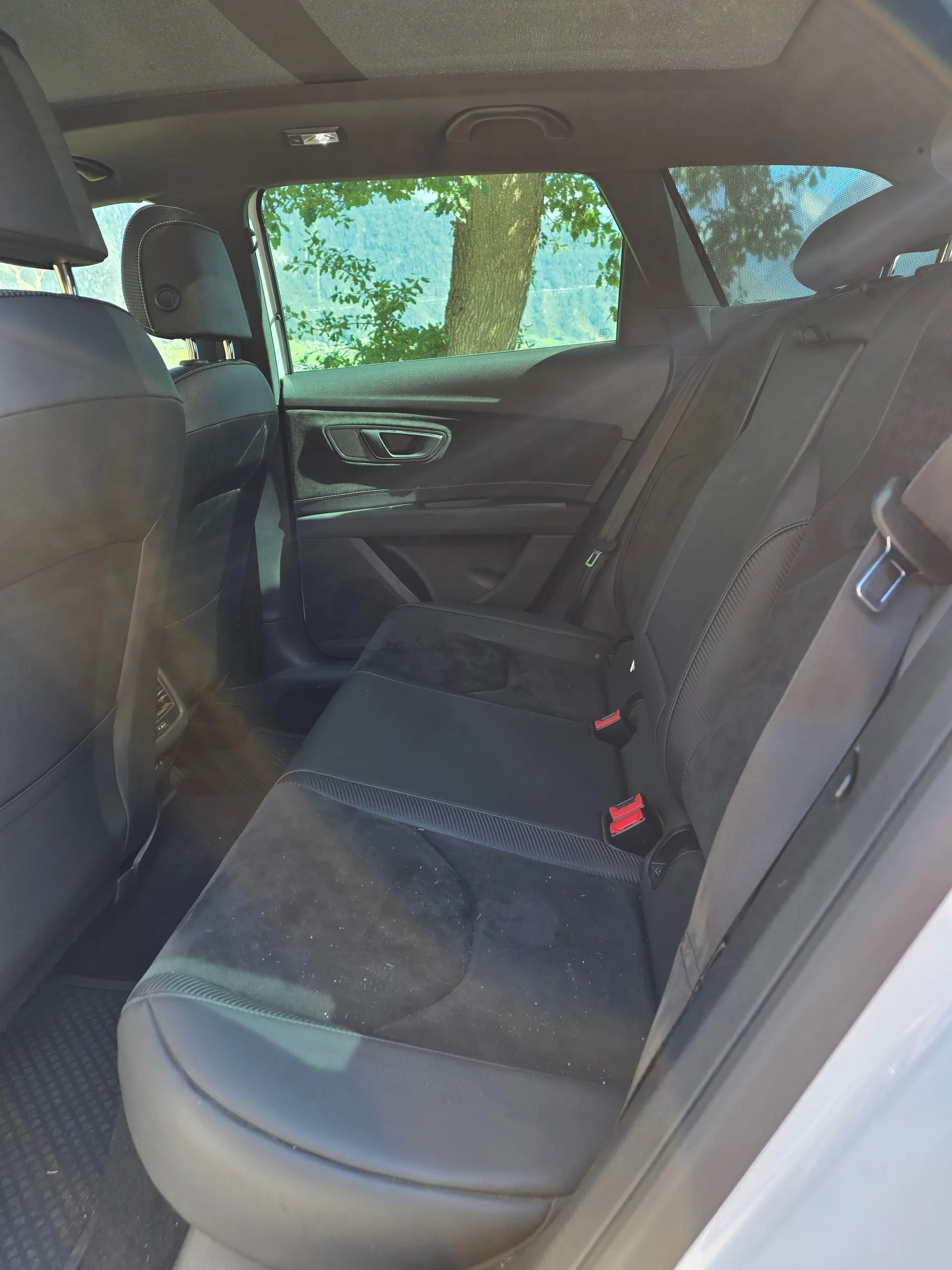 SEAT Leon 2019 occasion Naters — 3