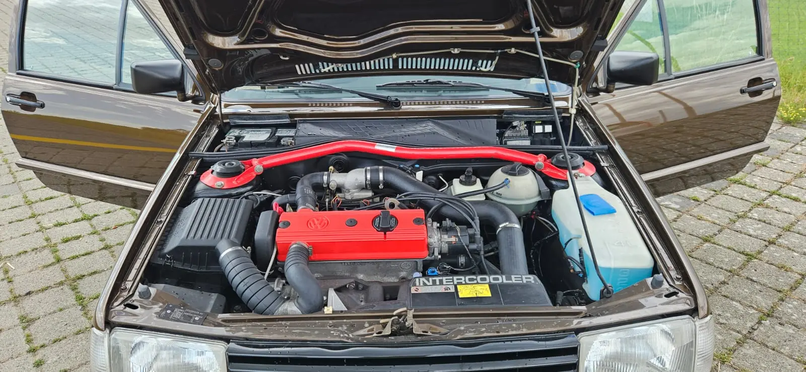 Volkswagen Polo 1994 occasion Steckborn — 3