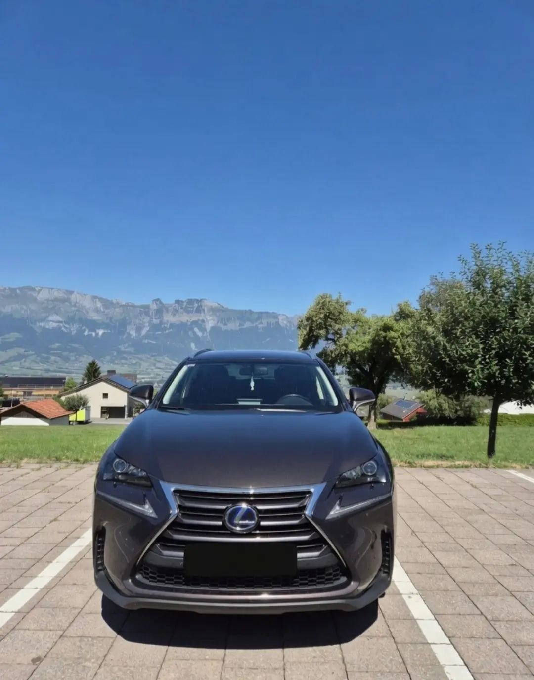Lexus NX 2015 occasion Schaanwald — 4