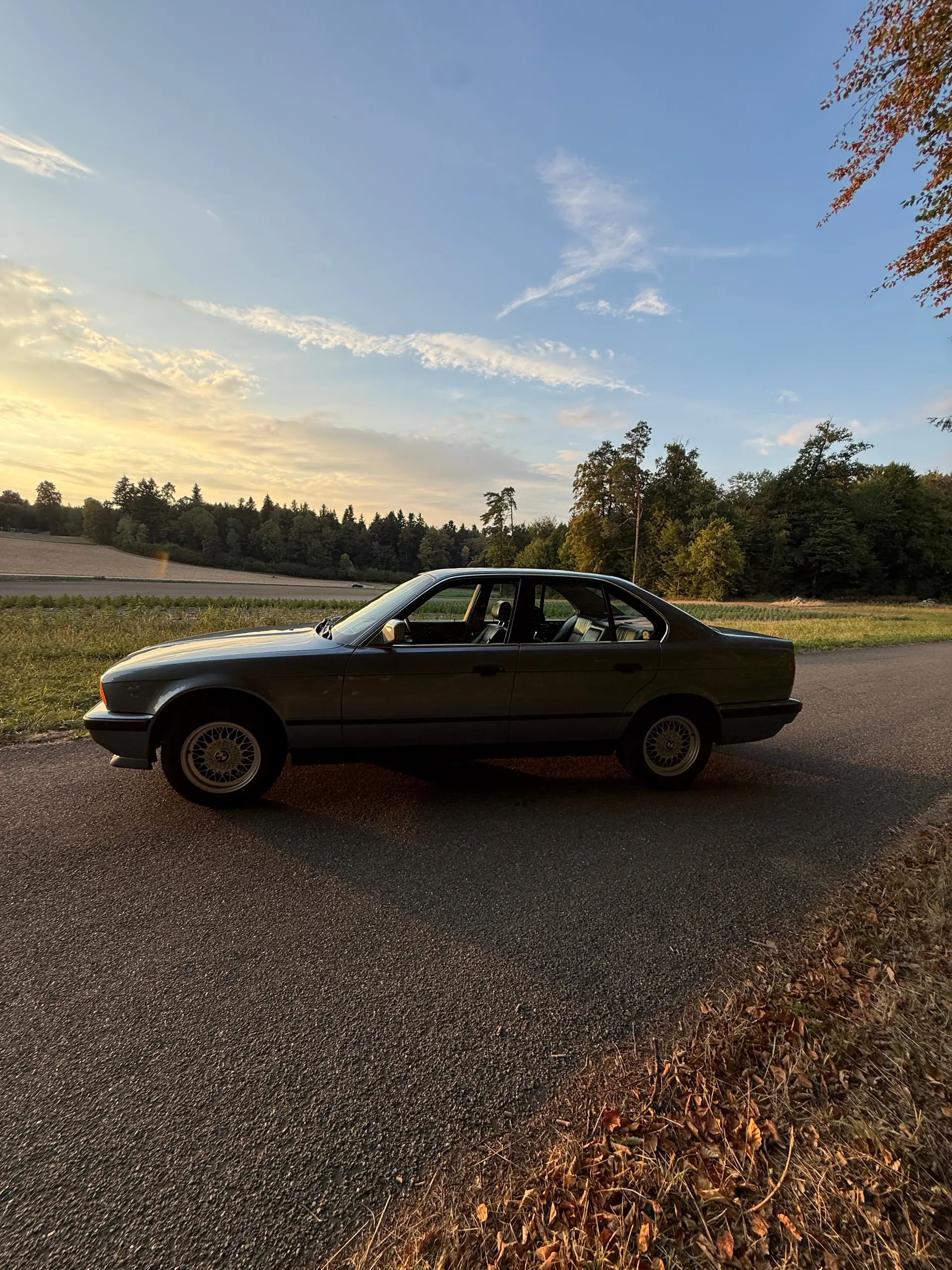 BMW 525 1989 occasion Boniswil — 4