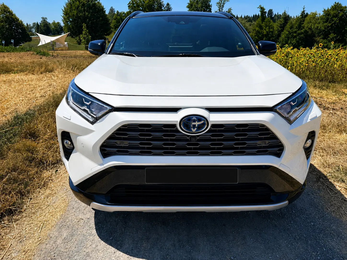 Toyota RAV4 2019 occasion Zollikofen — 2