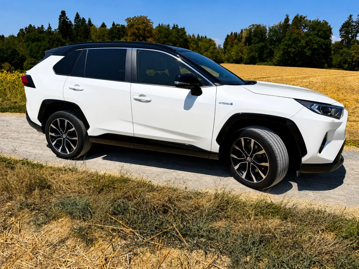 Toyota RAV4 2.5 HEV Style 2019 — SUV hybride très entretenu, toit panoramique — vue extérieure