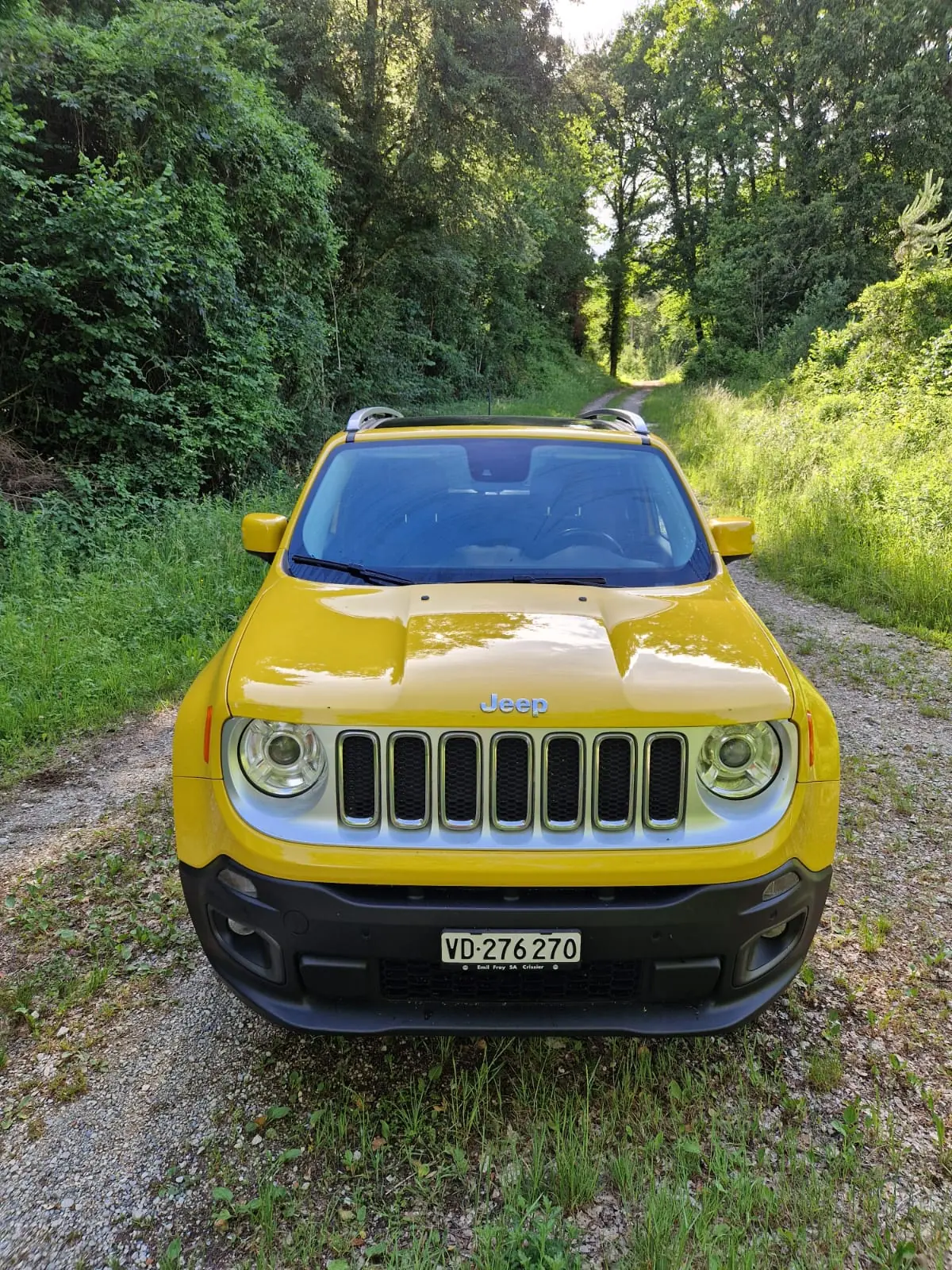 Jeep Renegade 2019 occasion Gossens — 3