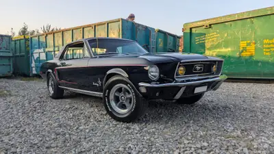 Ford Mustang C-Code V8 289 — L'icône américaine des années 60, moteur authentique — Seitenansicht