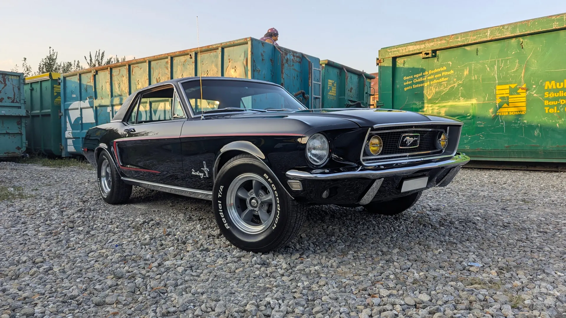 Ford Mustang 1968 occasion Obfelden — 2