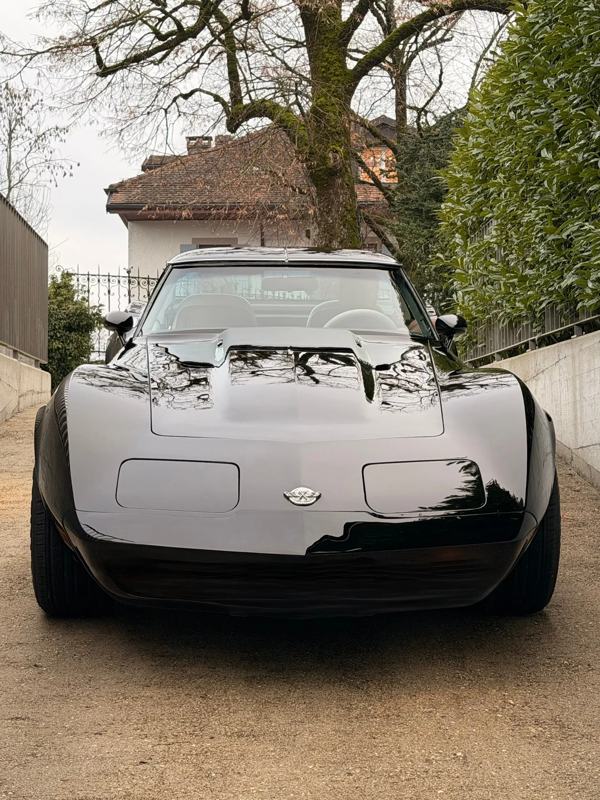 Chevrolet Corvette C3 Targa L-82 1978 — Icône américaine, 25e anniversaire, 49000 km