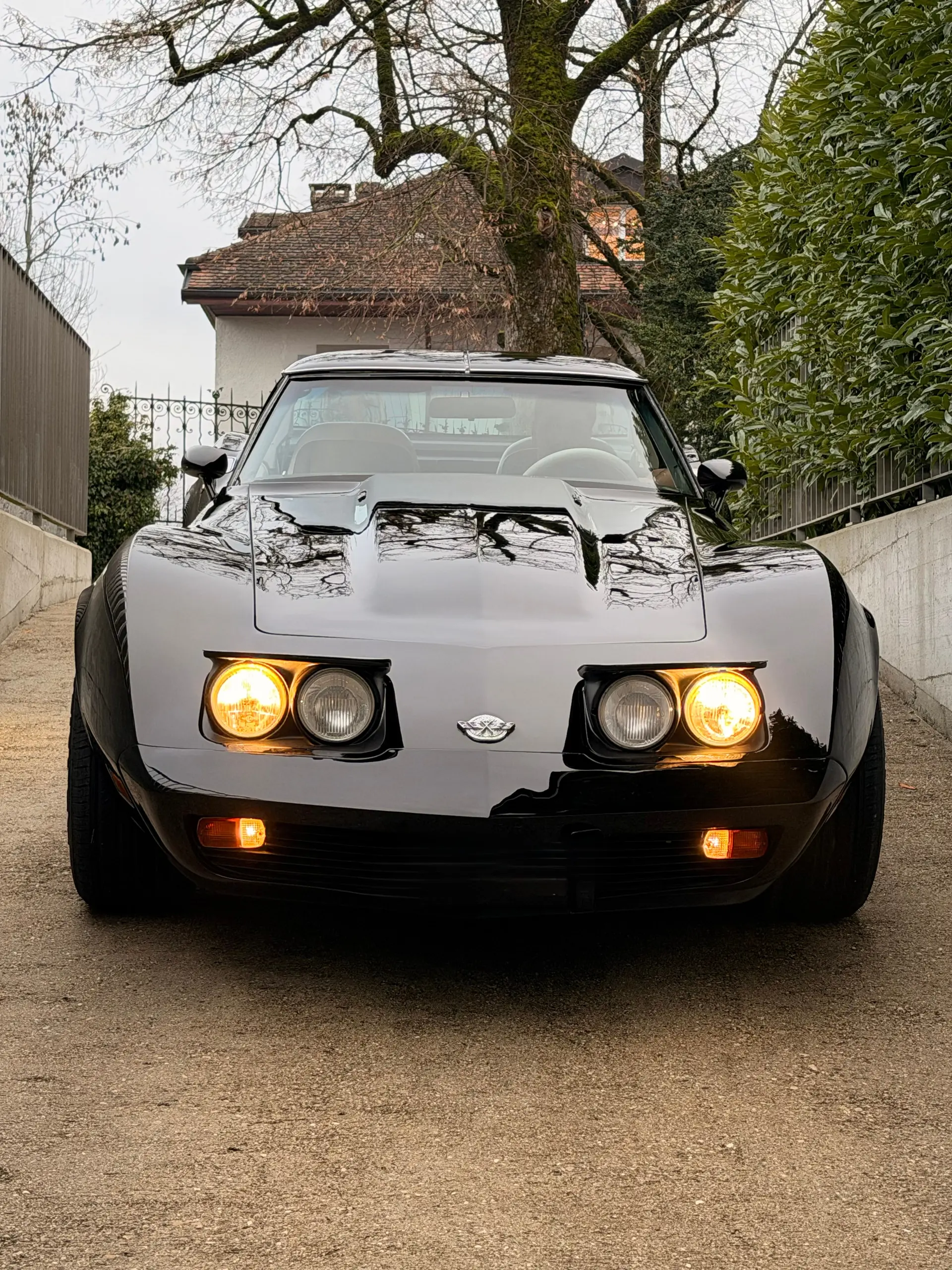 Chevrolet Corvette 1978 occasion Geneve — 2