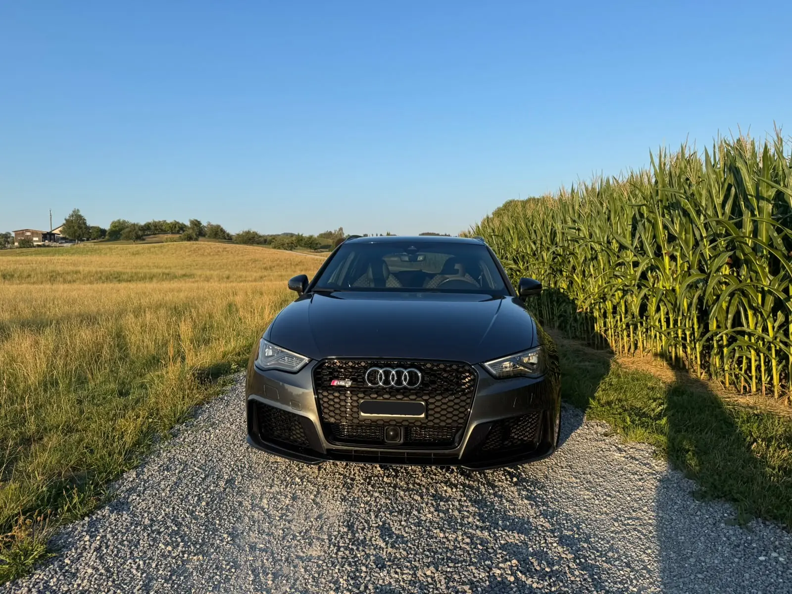Audi RS3 2016 occasion Gossau — 2