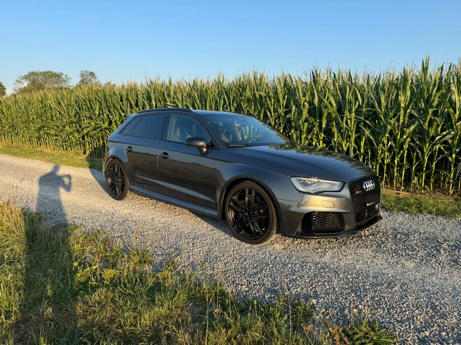 Audi RS3 2.5 TFSI quattro — 367 ch dynamiques, première main, révision complète