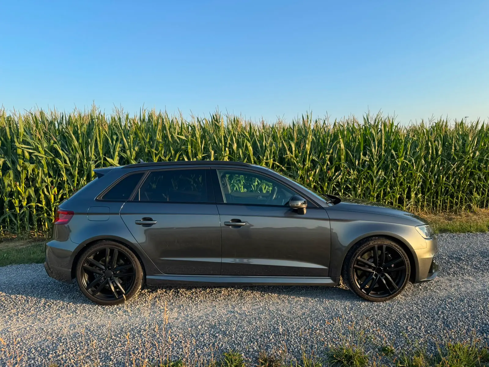 Audi RS3 2016 occasion Gossau — 3