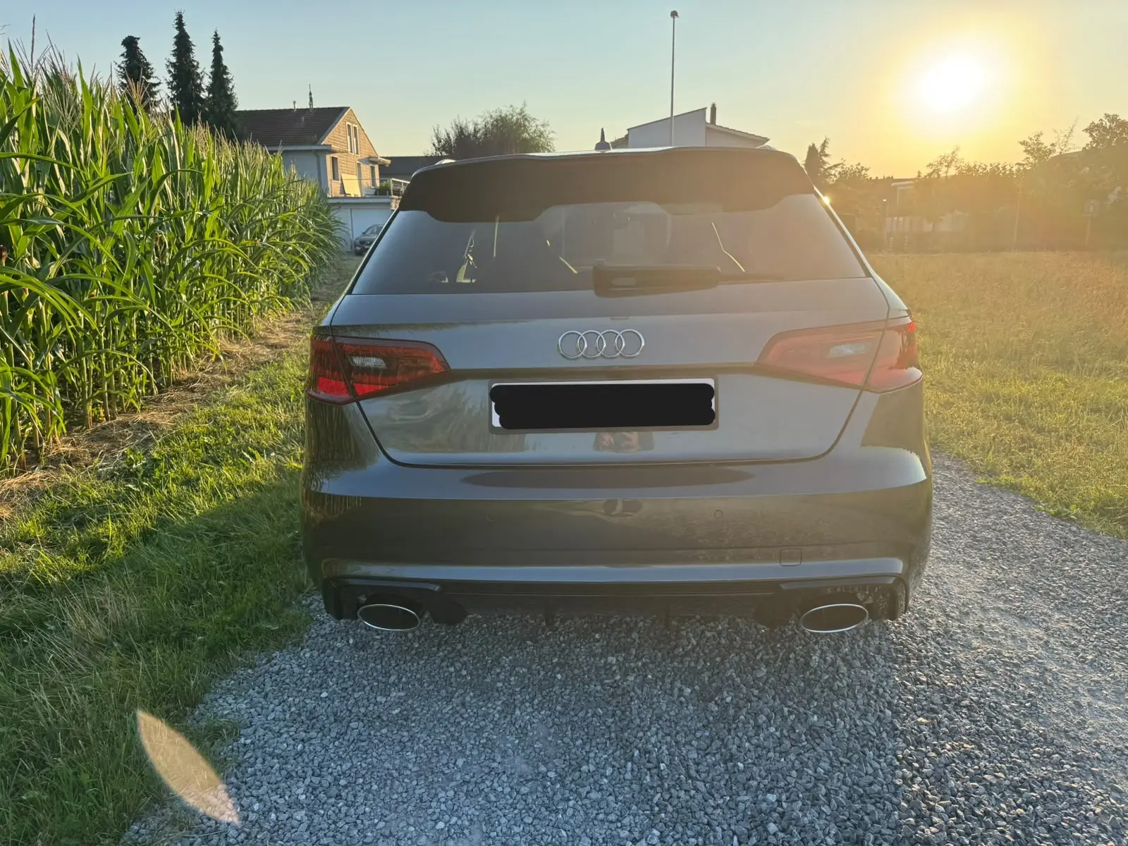 Audi RS3 2016 occasion Gossau — 4