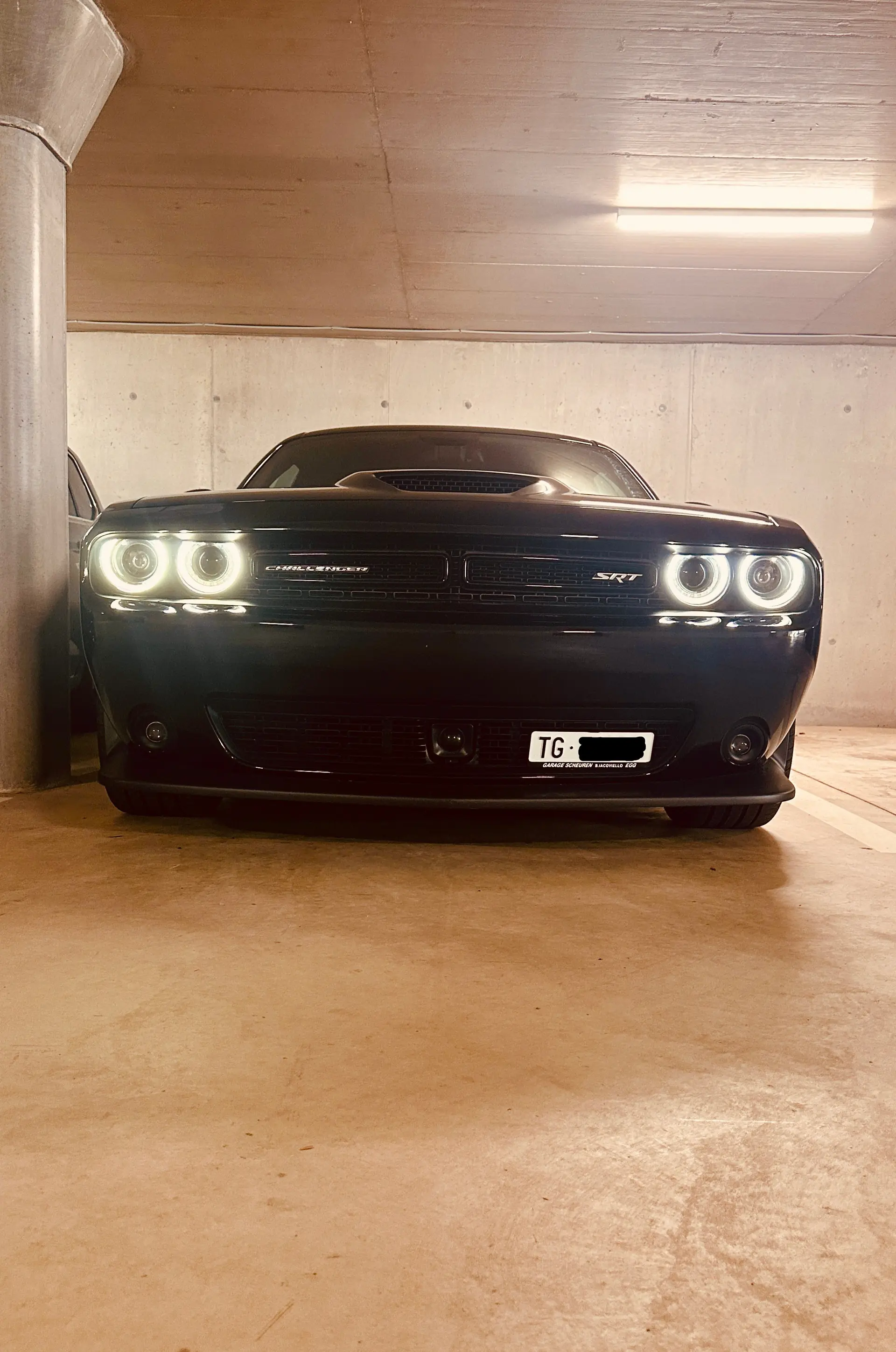 Dodge Challenger 2016 occasion Frauenfeld — 2